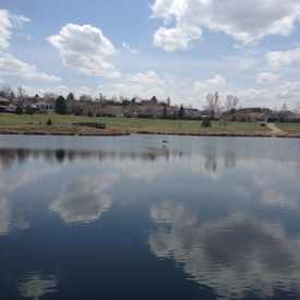 Photo of Josh's Pond, Broomfield, CO