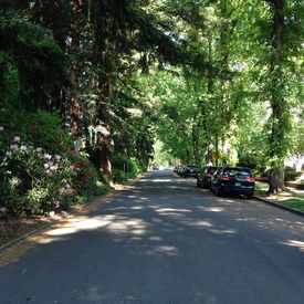 Photo of Laurelhurst City Park