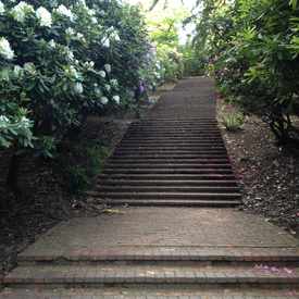 Photo of Laurelhurst City Park
