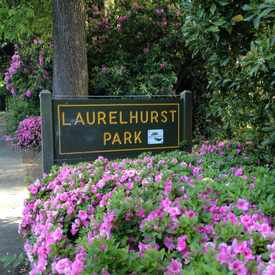 Photo of Laurelhurst City Park