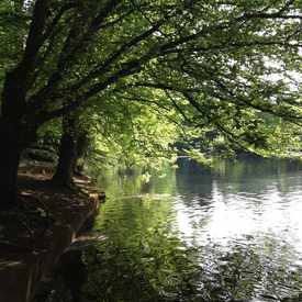 Photo of Laurelhurst City Park