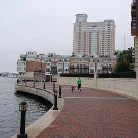 Photo of Inner Harbor