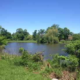 Photo of Washington Park