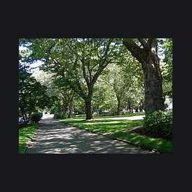 Photo of Denny Park