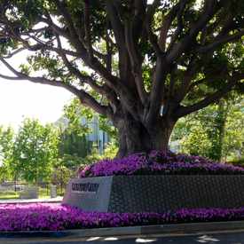 Photo of Century City - LA sign