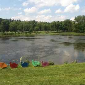 Photo of Vilas Park