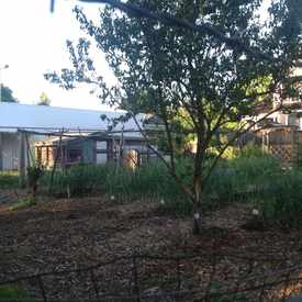 Photo of North Portland Farm