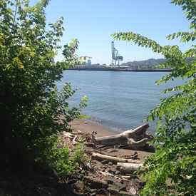 Photo of Beach With A View