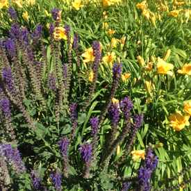 Photo of Madrona Park