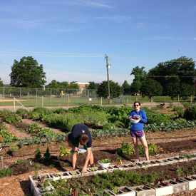 Photo of Raleigh City Farm
