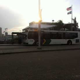 Photo of Algiers