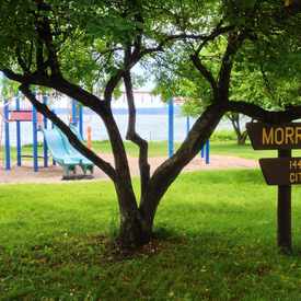 Photo of Morrison Park
