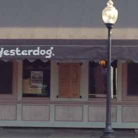Photo of Yesterdog