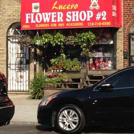 Photo of Lucero Flower Shop #2