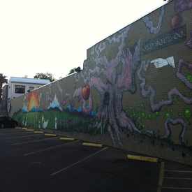 Photo of Old Soul Co.