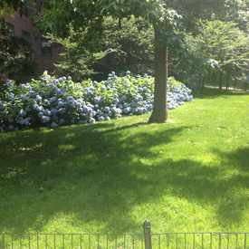 Photo of Stuyvesant Town