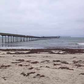 Photo of Ocean Beach Pier