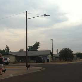 Photo of Dog Walking