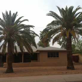 Photo of Palms