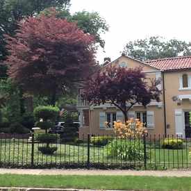 Photo of Cliff Drive