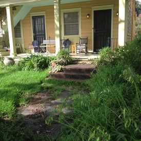 Photo of House On Moss