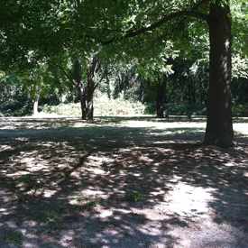 Photo of Riverside Athletic Club