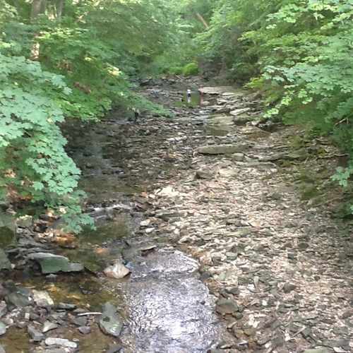 photo of Euclid Creek Park at 939 South Green Road South Euclid OH 44121