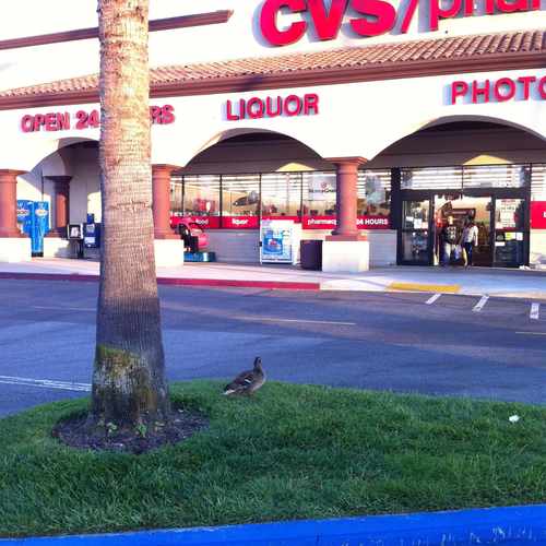photo of CVS/pharmacy at 15210 Rosecrans Avenue La Mirada CA 90638