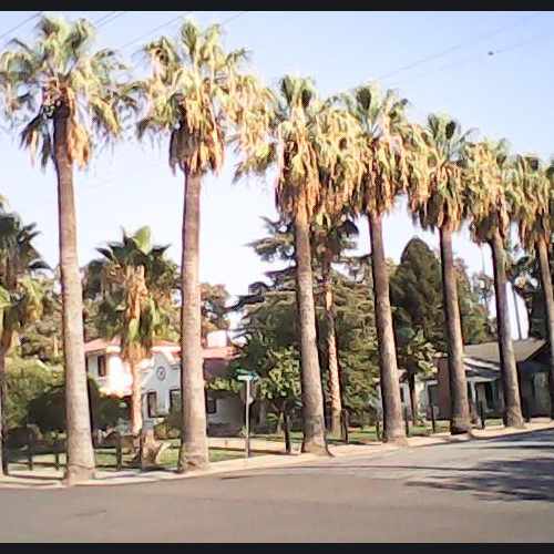 photo of W Magnolia St at 701 West Magnolia Street Stockton CA 95203