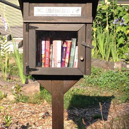 photo of Little Free Library at 11545 19th Avenue Northeast Seattle WA 98125