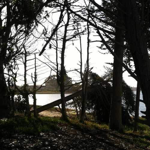 photo of Pecho St. Trail at 344 Mitchell Drive Baywood-Los Osos CA 93402