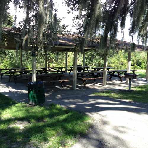 photo of Picnic Area at 7525 North Boulevard Tampa FL 33604