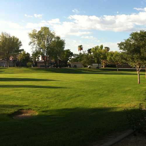 photo of Field at 1344 East San Remo Avenue Gilbert AZ 85234