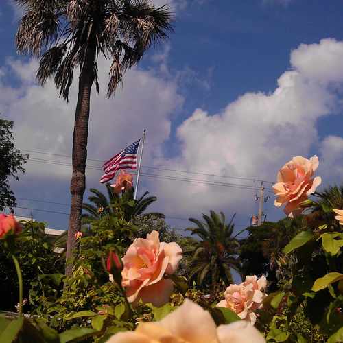 photo of Joan Durante Park at 5600 Gulf of Mexico Drive Longboat Key FL 34228