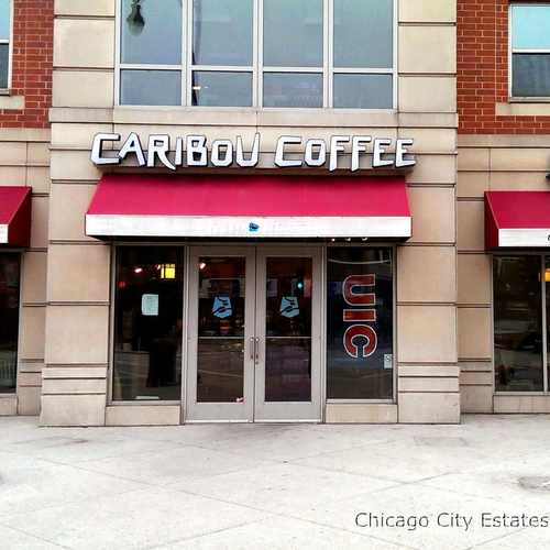 photo of Caribou Coffee at 811 West Maxwell Street Chicago IL 60608
