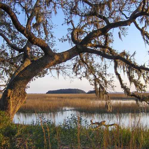 photo of River Place Park at 38 River Pl Beaufort SC 29906