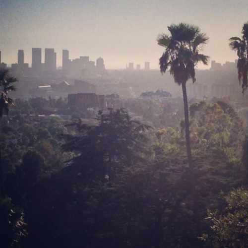 photo of Runyon Canyon Bootcamp at 2001 North Fuller Avenue Los Angeles CA 90046
