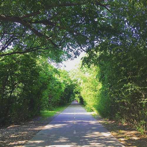 photo of Katy Trail at Katy Trail (Dallas) Dallas TX 75205