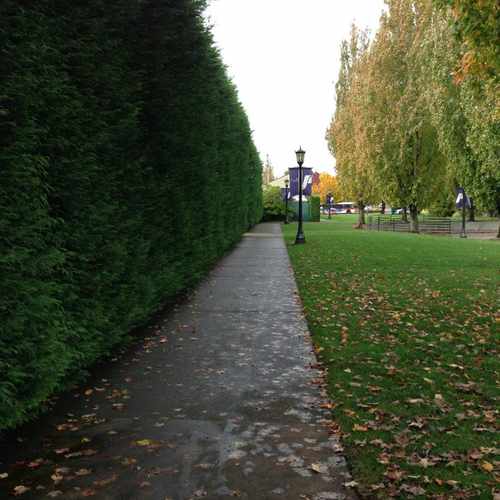 photo of The University Of Portland at 5200 North Willamette Boulevard Portland OR 97203