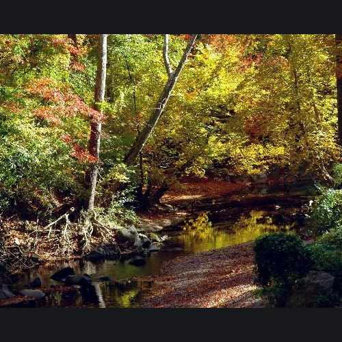 photo of Sligo Creek Trail at Sligo Creek Trail Takoma Park MD US