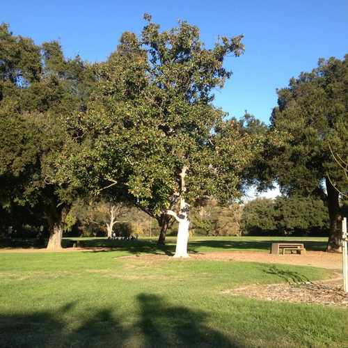 photo of Selma Olinder Park at Coyote Creek Trail San Jose CA 95116