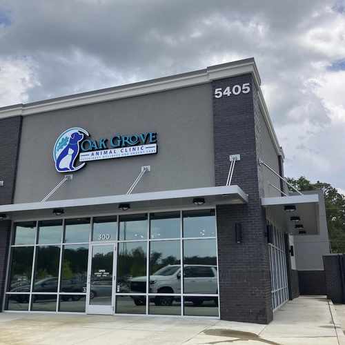 photo of Oak Grove Animal Clinic at 110 Lavender Road Athens GA 30606