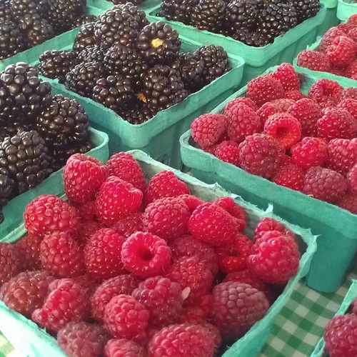 photo of Lloyd Farmers' Market at 830 Northeast Pacific Street Portland OR 97232