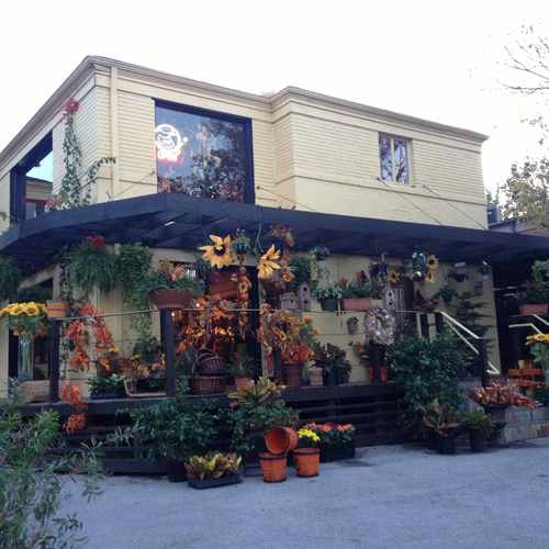 photo of Village Greenery & Flowers at 2301 University Boulevard Houston TX 77005