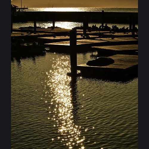 photo of Neptune's Waterfront Grill & Bar at 39 Pier 39 Concourse San Francisco CA 94133