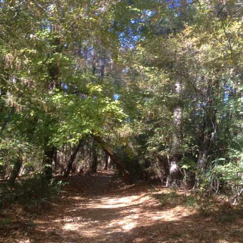 photo of Wolf River Trails at 361 South Germantown Parkway Memphis TN 38018