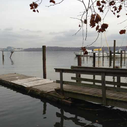 photo of Belle Haven Marina Inc at George Washington Memorial Parkway Alexandria VA US