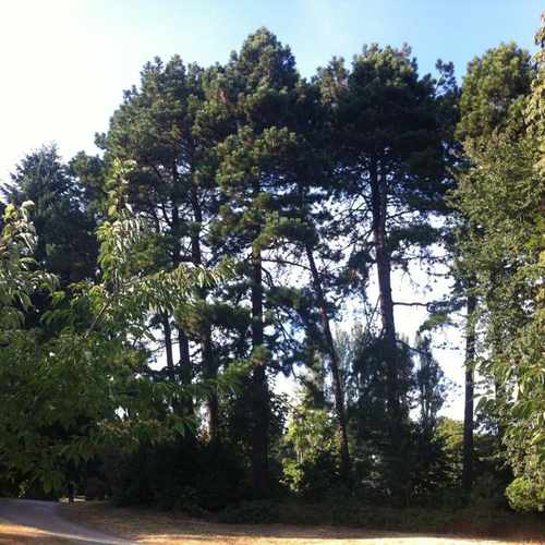 photo of Ravenna Park at 5499 Ravenna Ave NE Seattle WA 98105