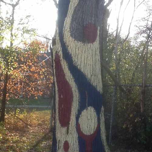 photo of Painted Tree at 2555 Canterbury Rd Cleveland Heights OH 44118