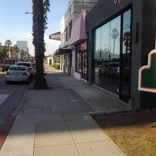 photo of Milo and Olive at 2723 Wilshire Boulevard Santa Monica CA 90403
